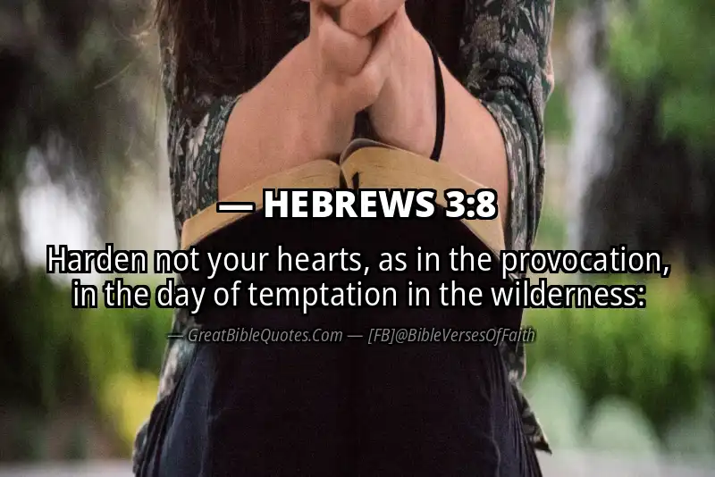 Bible verse: HEBREWS 3:8 Image