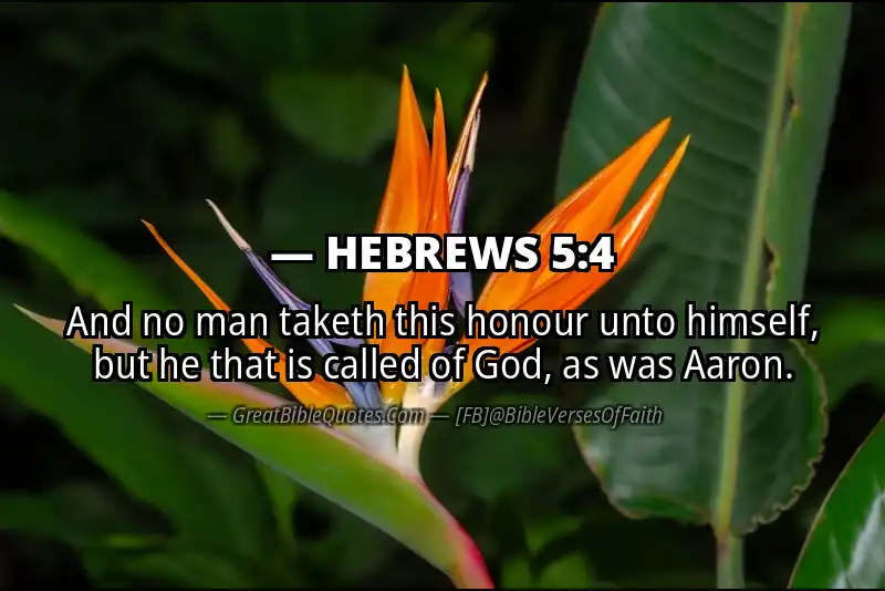 Bible verse: HEBREWS 5:4 Image