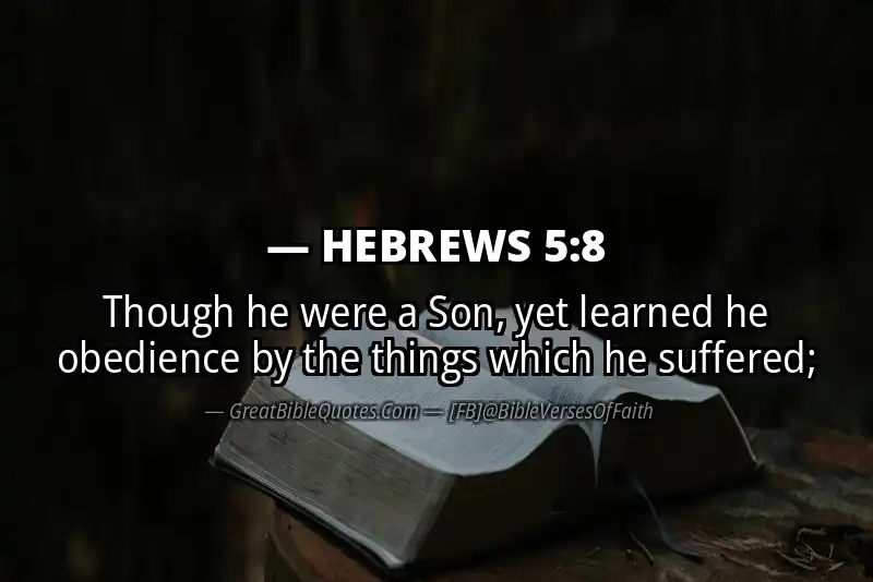 Bible verse: HEBREWS 5:8 Image