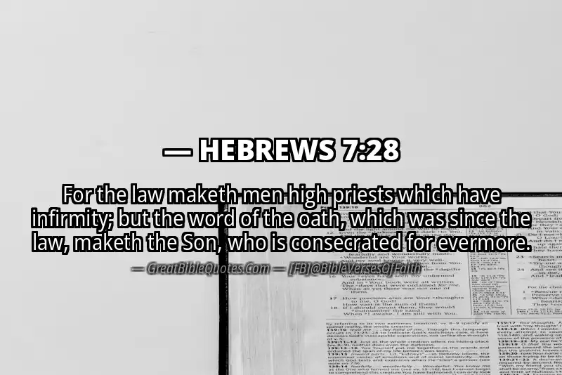 HEBREWS 7:28 Verse