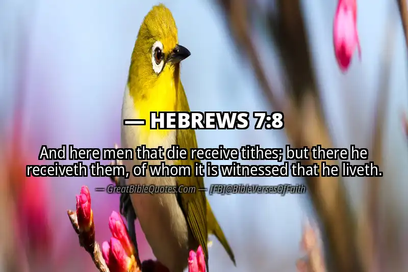 HEBREWS 7:8 Verse