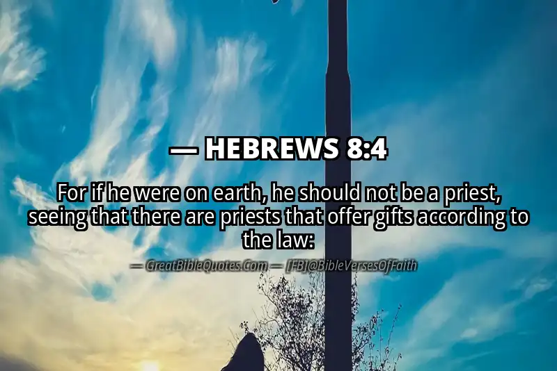 Bible verse: HEBREWS 8:4 Image