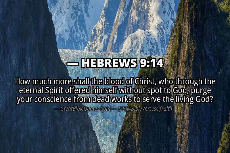 Image for HEBREWS 9:14 Bible verse