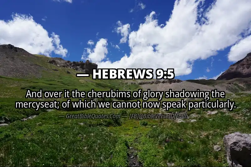 Bible verse: HEBREWS 9:5 Image