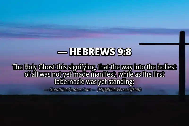 Bible verse: HEBREWS 9:8 Image