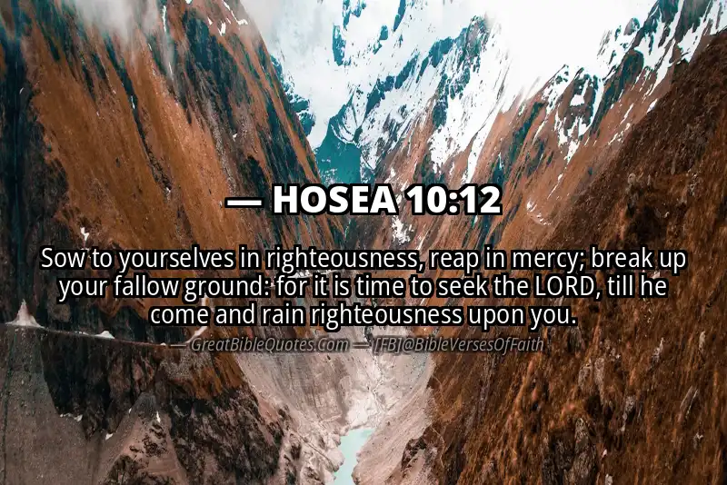 HOSEA 10:12 Verse