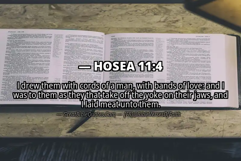 HOSEA 11:4 Verse