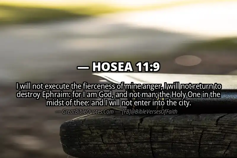 Bible verse: HOSEA 11:9 Image