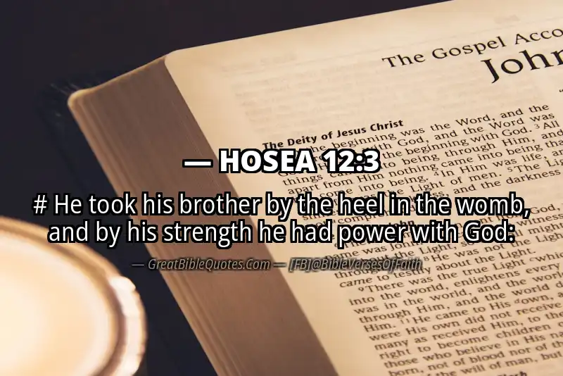Bible verse: HOSEA 12:3 Image