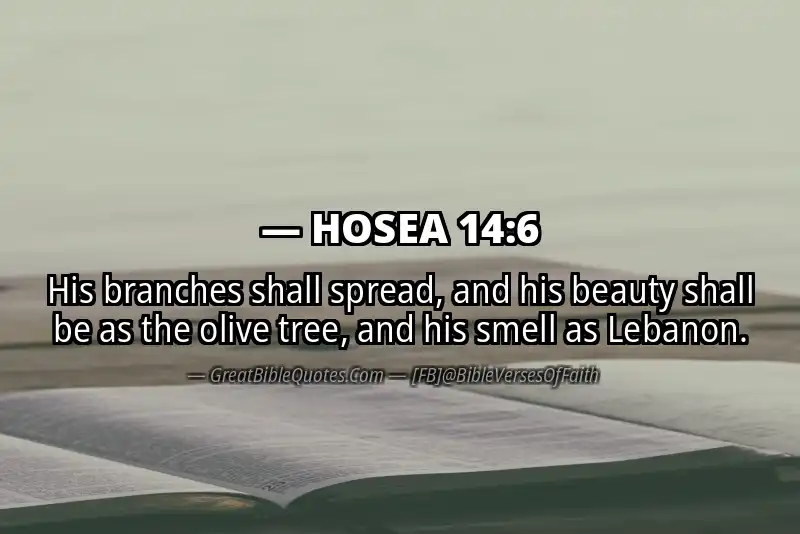 Bible verse: HOSEA 14:6 Image