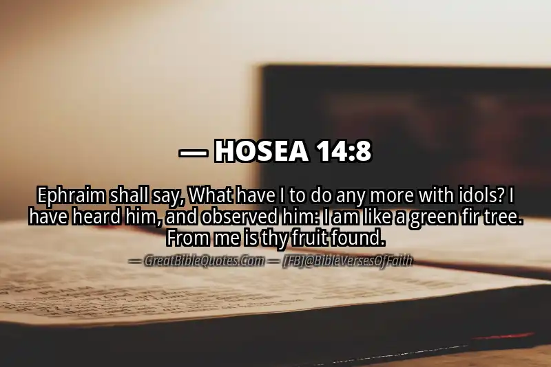 Bible verse: HOSEA 14:8 Image