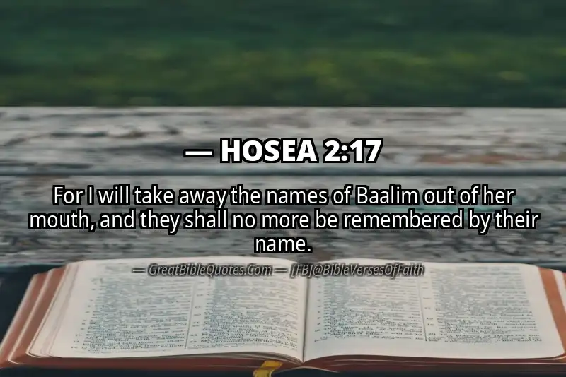 Bible verse: HOSEA 2:17 Image