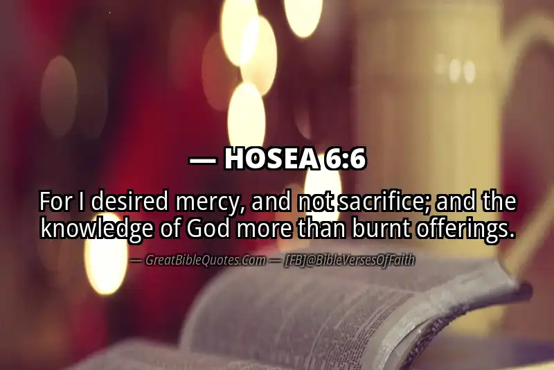 HOSEA 6:6 Verse
