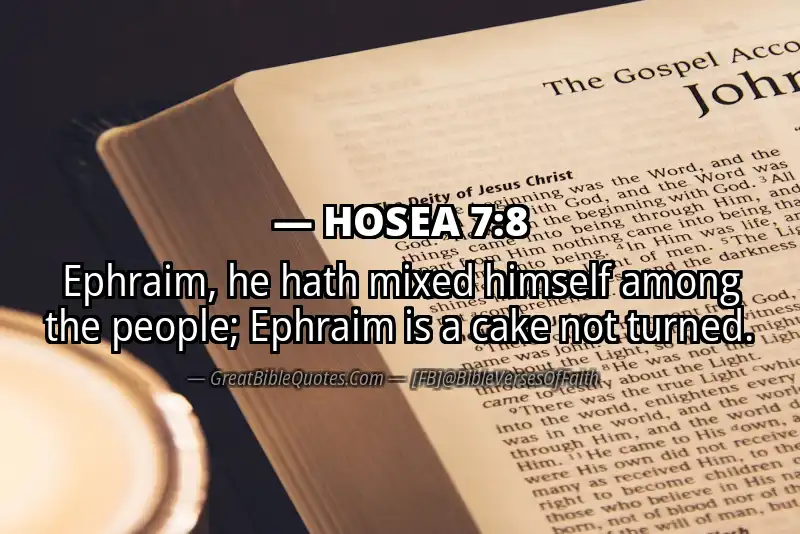 Bible verse: HOSEA 7:8 Image