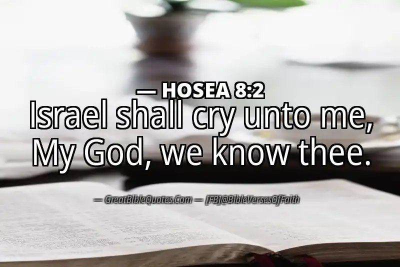 HOSEA 8:2 Verse