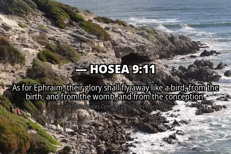 HOSEA 9:11 Verse