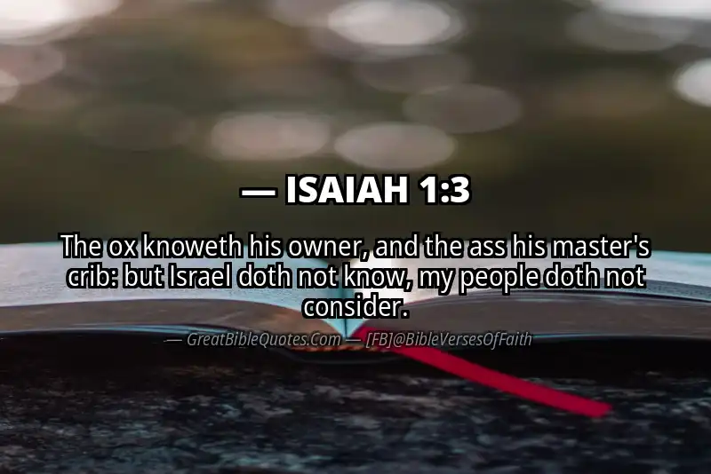Bible verse: ISAIAH 1:3 Image