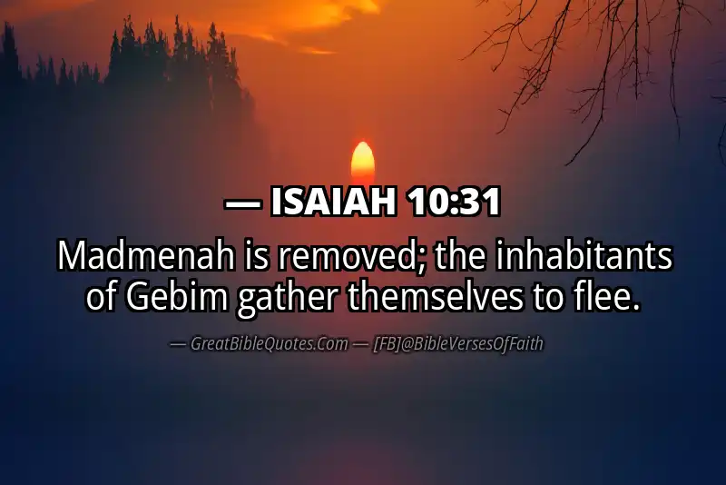 ISAIAH 10:31 Verse