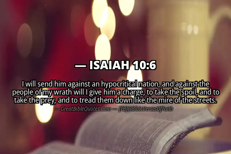 ISAIAH 10:6 Verse Image
