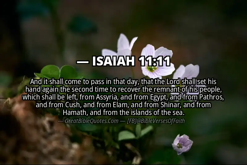 ISAIAH 11:11 Verse