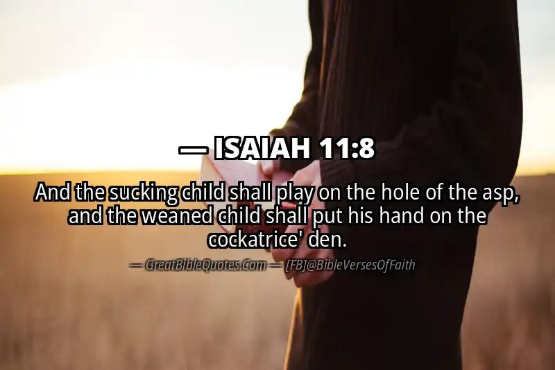 ISAIAH 11:8 Verse