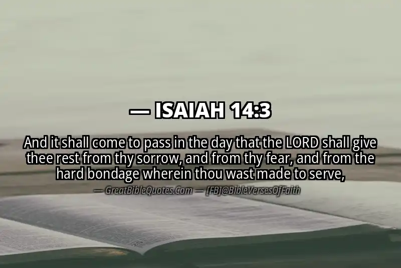 ISAIAH 14:3 Verse