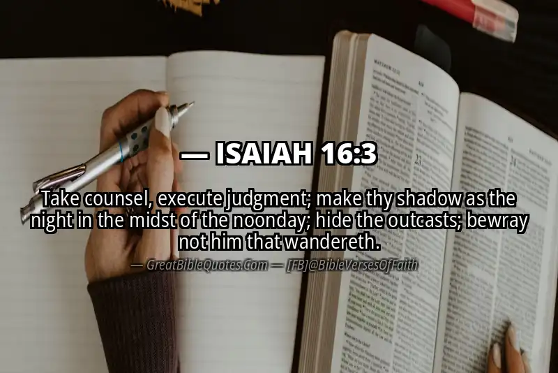 ISAIAH 16:3 Verse