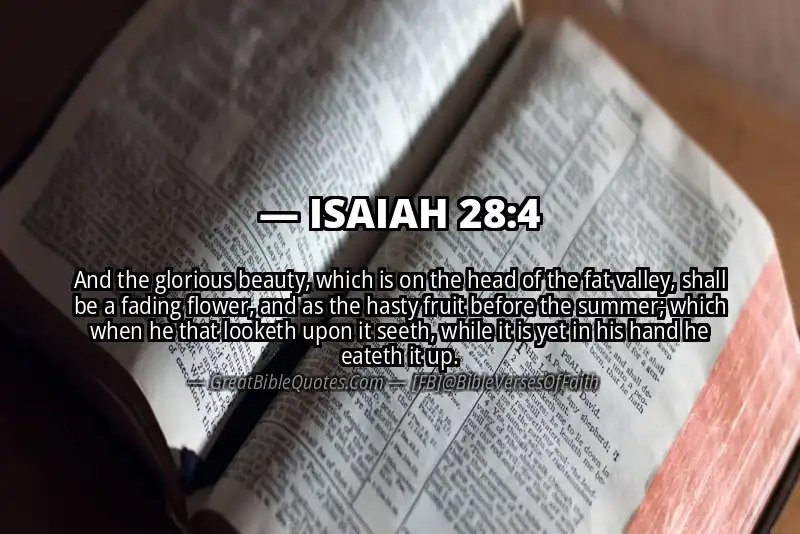 ISAIAH 28:4 Verse