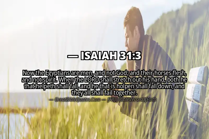 ISAIAH 31:3 Verse