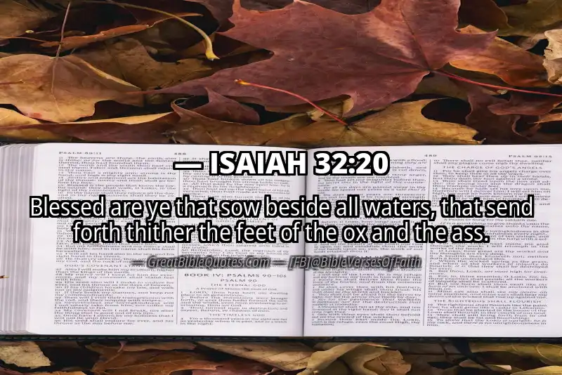 ISAIAH 32:20 Verse