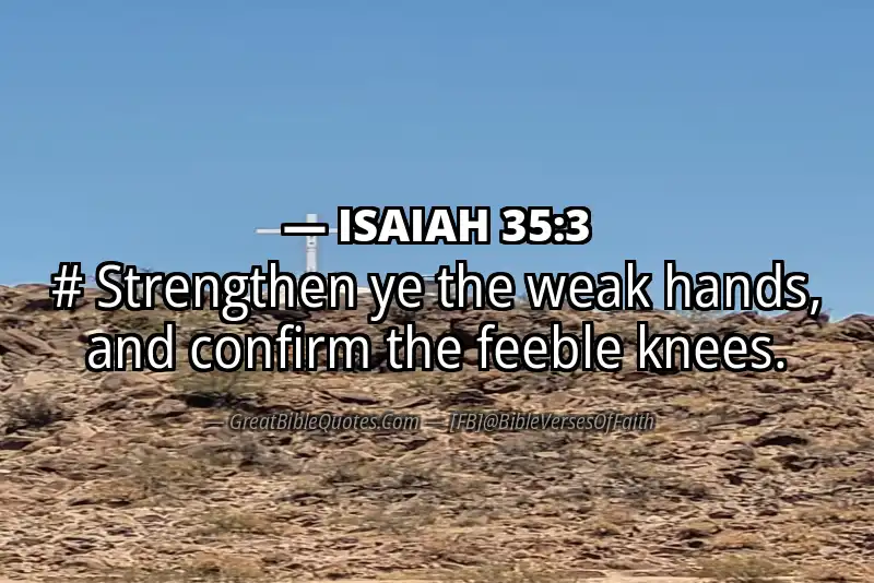 ISAIAH 35:3 Verse