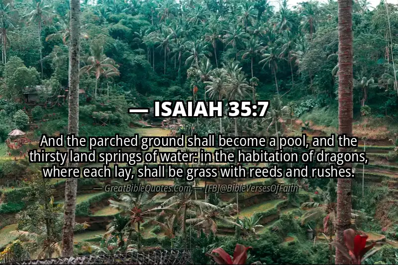 ISAIAH 35:7 Verse