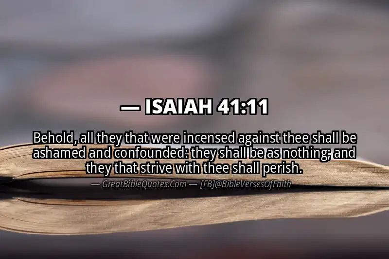 ISAIAH 41:11 Verse