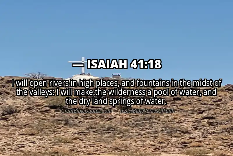 ISAIAH 41:18 Verse
