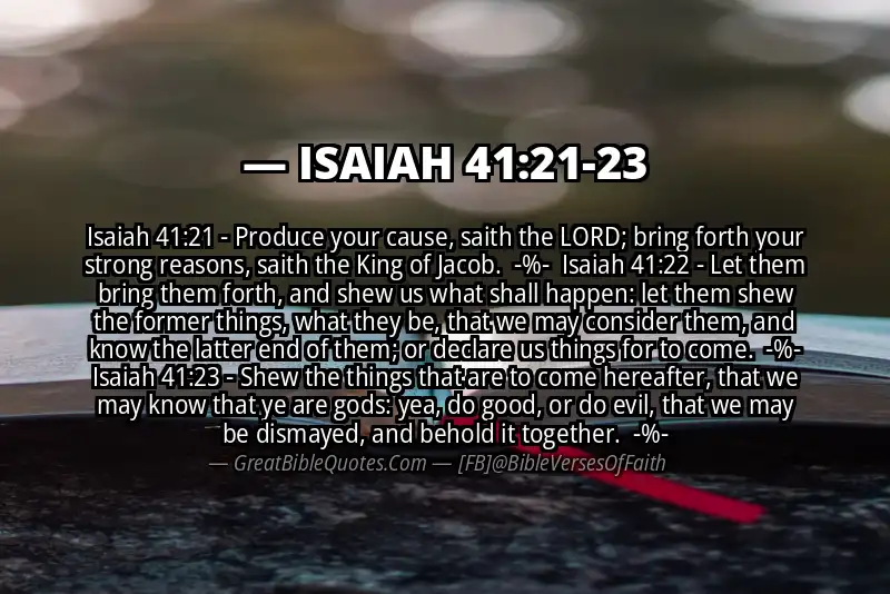 Image for ISAIAH 41:21-23 Bible verse