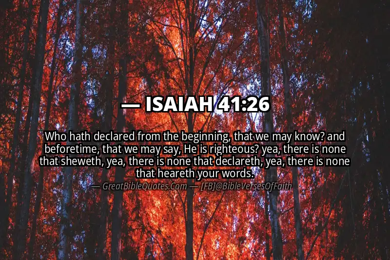 ISAIAH 41:26 Verse