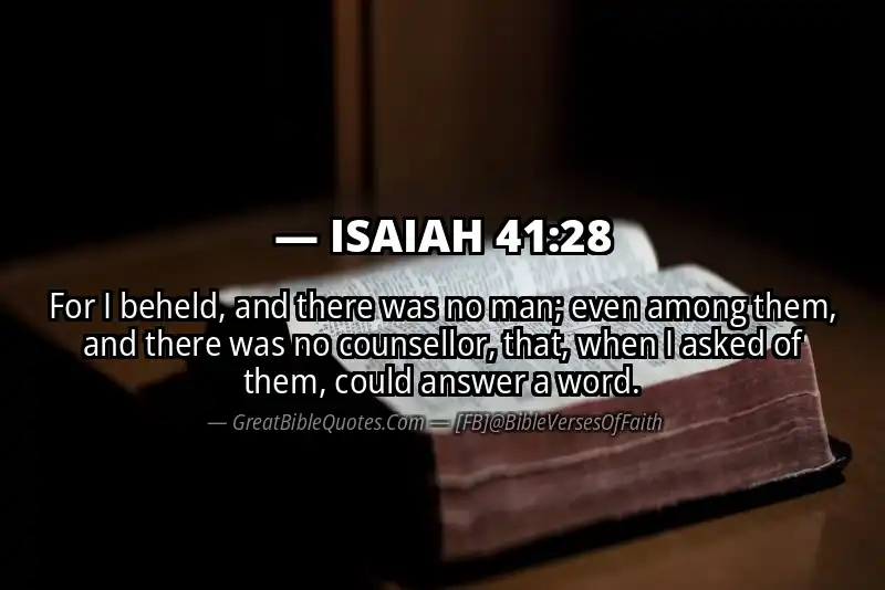 ISAIAH 41:28 Verse