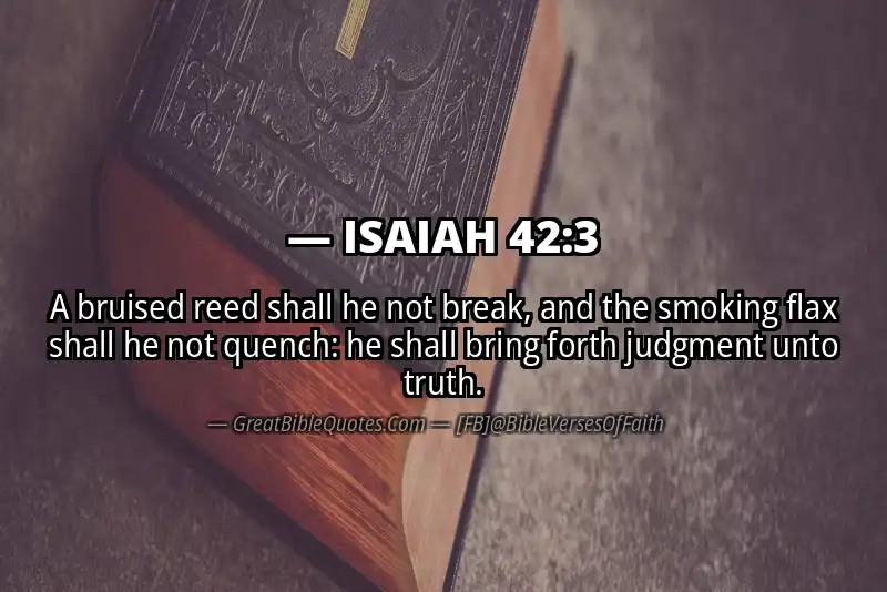 ISAIAH 42:3 Verse