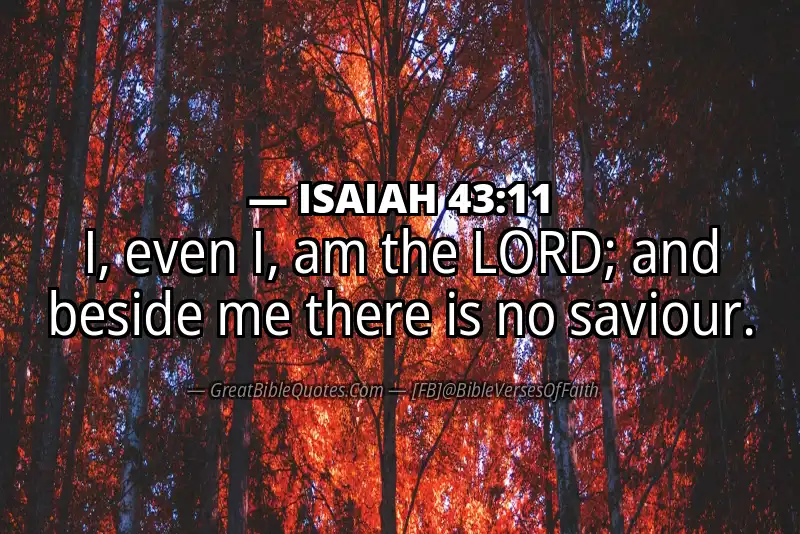 ISAIAH 43:11 Verse