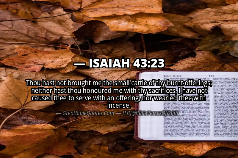 ISAIAH 43:23 Verse