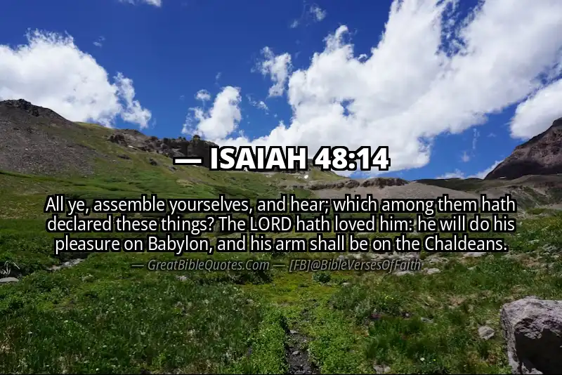 ISAIAH 48:14 Verse