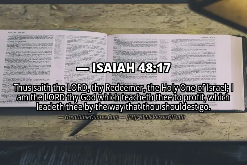 Image for ISAIAH 48:17 Bible verse