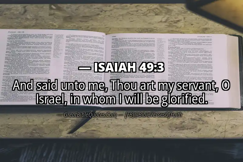 ISAIAH 49:3 Verse