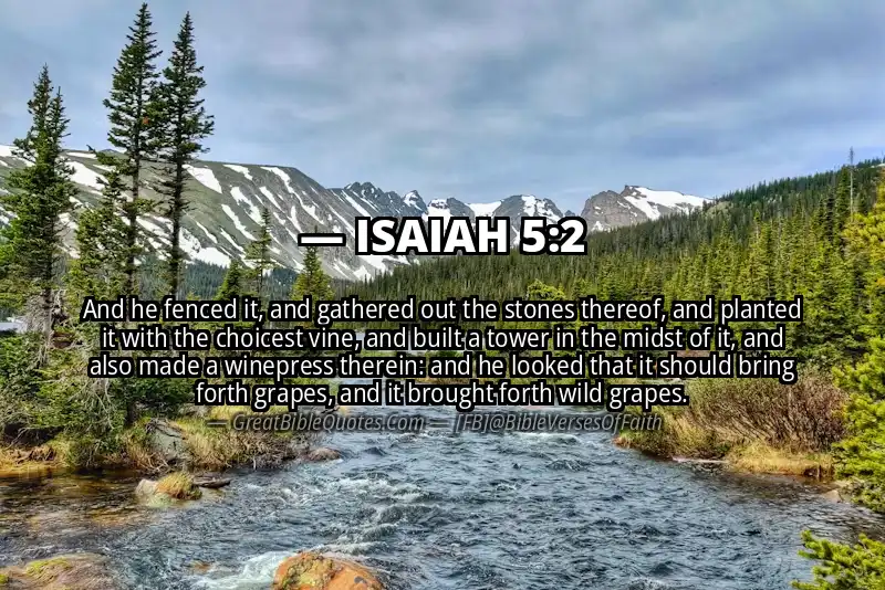 ISAIAH 5:2 Verse