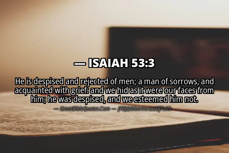 ISAIAH 53:3 Verse