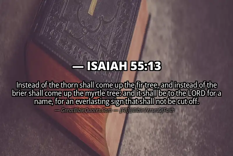 ISAIAH 55:13 Verse