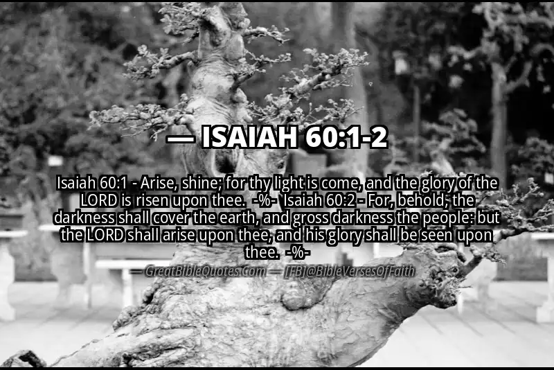Image for ISAIAH 60:1-2 Bible verse