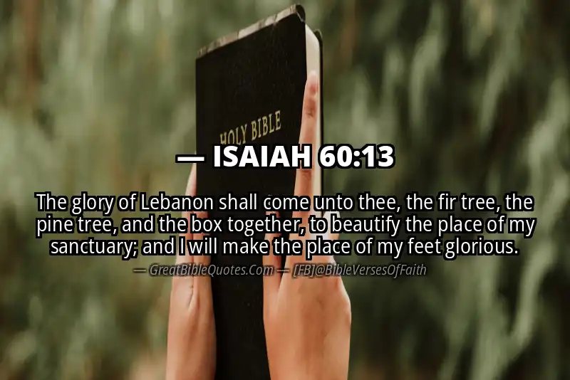 ISAIAH 60:13 Verse