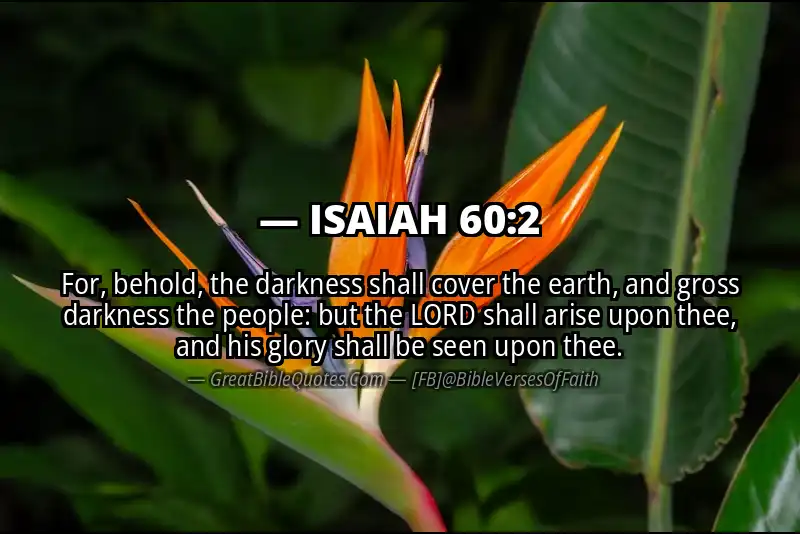 ISAIAH 60:2 Verse