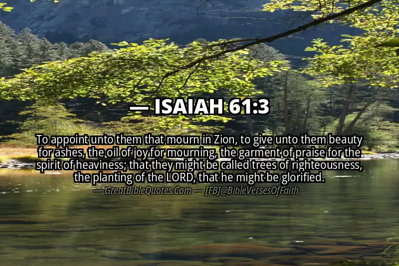 Image for ISAIAH 61:3 Bible verse